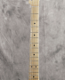 Fender : Made in Japan Heritage 60s Telecaster Thinline 3-Color Sunburst 6